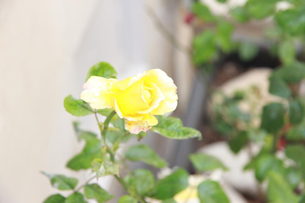 Canton delle Rose Appartamento Scicli Esterno foto